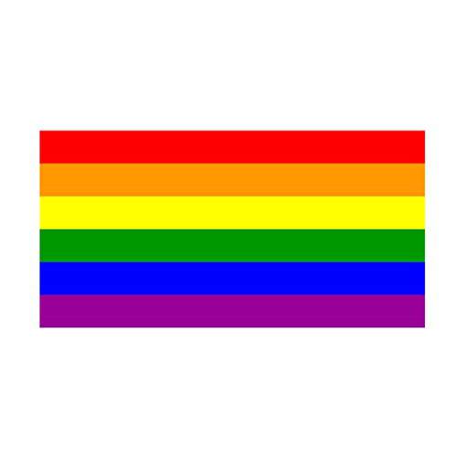 LGBT 레인보우 플래그 스티커 차량용 데칼 범퍼 스티커 Gay Pride 레즈비언 양성애자 트랜스 젠더 지지,보호 5x3