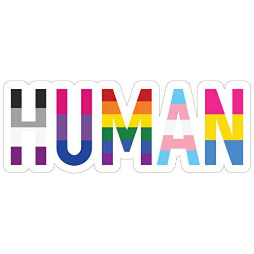 Sticker Sensation  인간 LGBT+ Gay Pride 스티커 - 레인보우 레즈비언 양성애자 Pansexual 트랜스젠더 깃발 비닐 데칼 스티커 - 차량용/ 트럭 범퍼 스티커 노트북 데칼 (6 x 2.25)