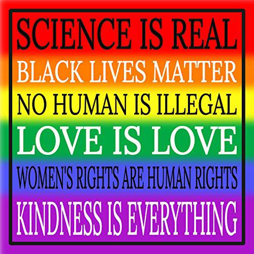Kindness is Everything 레인보우 스티커 - Gay Pride 인간 Rights 프리미엄 비닐 데칼 3 X 3 l 차량용 범퍼 오토 창문 LGBT 과학 is 리얼 Love is 블랙 Lives Matter BLM+  보다나은 Than 마그넷