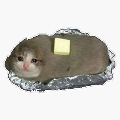 Sad 감자 고양이 스티커 데칼 비닐 범퍼 스티커 데칼 방수 5