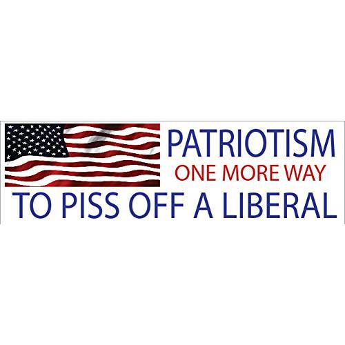 Rogue River Tactical 10x3 Patriotic 범퍼 스티커 오토 데칼 USA 깃발 America Patriotism 원 More 웨이 to Piss Off A Liberal (Patriotism)