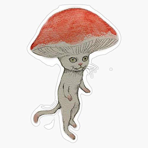 버섯 고양이 스티커 데칼 비닐 범퍼 스티커 데칼 방수 5