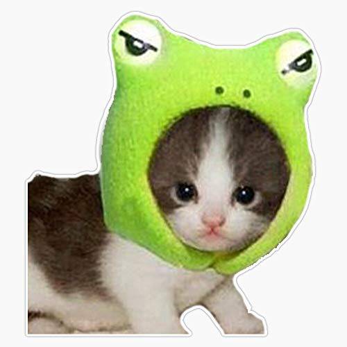 고양이 In Frog 모자 스티커 데칼 비닐 범퍼 스티커 데칼 방수 5