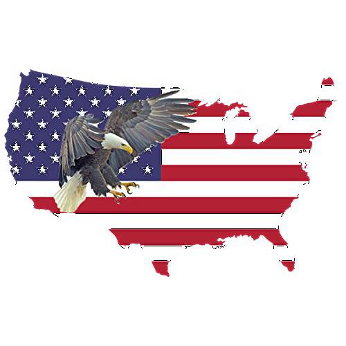 로그 강 전술 라지 아메리칸 Eagle 깃발 국가 아웃라인 USA Patriotic Stars and Stripes 오토 범퍼 스티커 비닐 데칼 자동차 트럭 RV SUV 보트 지원 US 밀리터리 …
