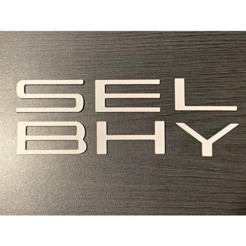 SF Sales USA - 화이트 전면 분배기 립 스포일러 글자 Shelby GT500 2020+ 플라스틱 인서트 Not 데칼,도안