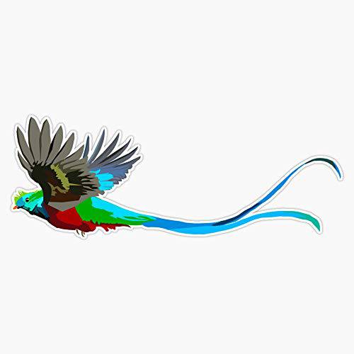 Quetzal 데칼 비닐 범퍼 스티커 5