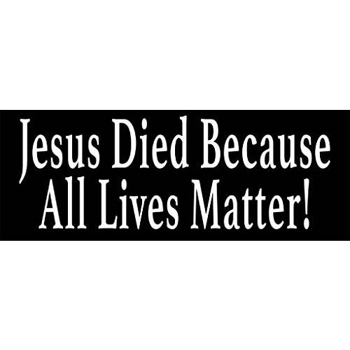 AV 종교적인 데칼,도안, Jesus Died Because 모든 Lives Matter 스티커, Christianity 비닐, Jesus Died Everybody 범퍼 스티커 자동차, 트럭, 노트북, and 쿨러 (3 x 8 인치)