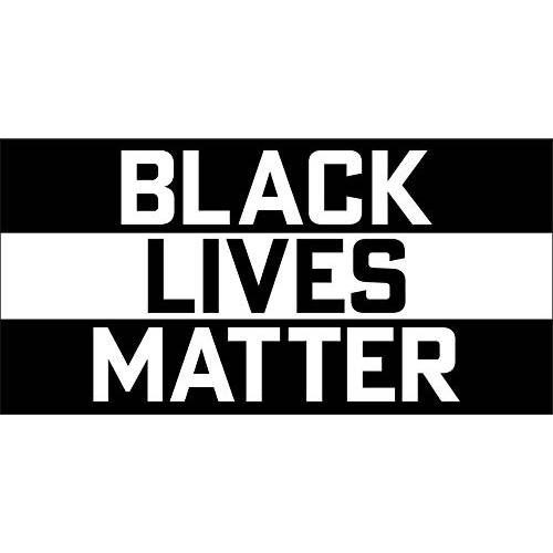 상상 표지판 | 블랙 Lives Matter 자동차 자석 | 8 x 4