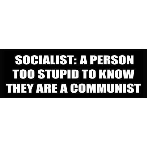 AV Socialist: A 침입자 Too Stupid to 알고있다 They are a Communist 스티커, Political 데칼,도안, Conservative 데칼,도안, Pro-Capitalism 스티커 자동차, 노트북, 후면 윈도우, and RVs
