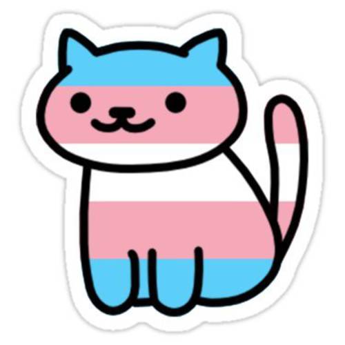 매운,칠리 프린트 네코 Pride: 트랜스젠더 - 스티커 그래픽 범퍼 창문 시커 데칼 - Gay Pride 스티커