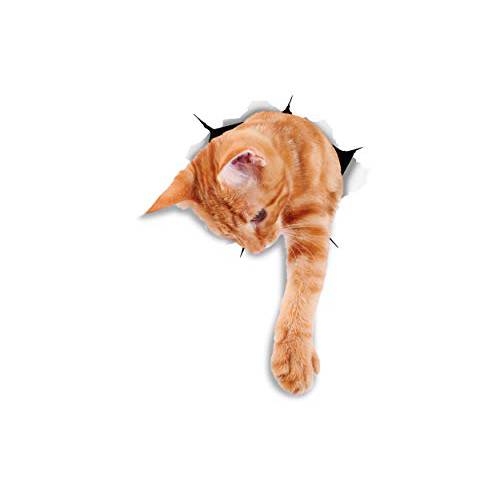 Winston& Bear 3D 고양이 스티커 - 2 팩 - Reaching 생강,진저 데칼,도안 for 벽면 - 오렌지 고양이 스티커 for 차량용 - 냉장고 - 변기 - Room - 리테일 팩늙은 오렌지 고양이 기프트