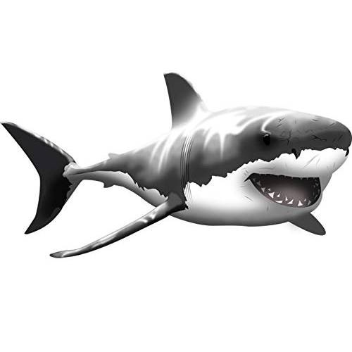 VWAQ Giant Great 화이트 Shark 벽면 데칼,스티커 벗기고 and 스틱 벽면 아트 … (13 H X 24 w)