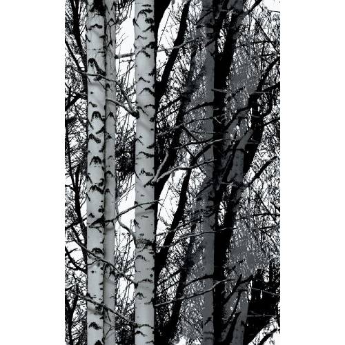 d-c-fix 346-0611 장식용 Self-Adhesive Film, 자작나무 Wood, 17 x 78 Roll
