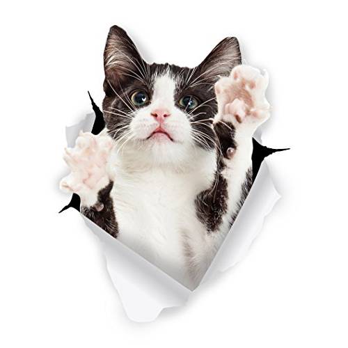 Winston& Bear 3D 고양이 스티커 - 2 팩 - Reaching 블랙&  화이트 Tuxedo 고양이 데칼,도안  벽면 - 냉장고 - 변기 - 방 - 차량용 - 리테일 팩늙은