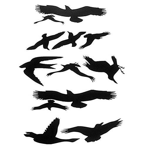 윈도우 경보 새 스티커 Silhouettes 글래스 문,문틈 프로텍트 Save Birds,  블랙 - By FMJI