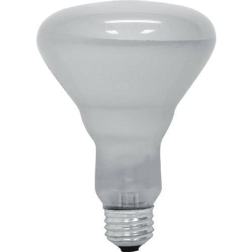 GE 백열등 홍수 라이트 Bulbs, BR30 홍수 Lights, 45-Watt, 370 Lumen, 미디엄 Base, 소프트 White, 6-Pack, 실내 홍수 라이트 Bulbs, Recessed 라이트 Bulbs for Indoors
