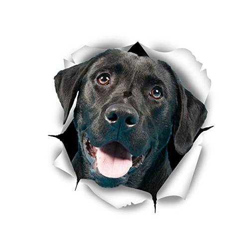 Winston& Bear 3D 강아지 스티커 - 2 팩, 마스크, 마스크팩 - Cute 블랙 Labrador Retriever 스티커 for Wall, Fridge, 변기 and 더 - 소매 팩, 마스크, 마스크팩aged 블랙 Labrador 데칼,도안