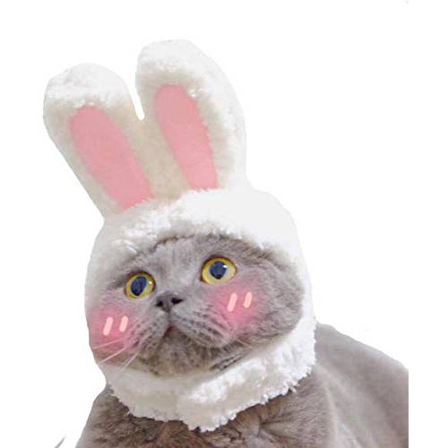 Delifur  귀여운 고양이 Bunny Ears 헤드밴드 애완동물 부활절 할로윈 화이트 and 핑크 토끼 모자 장식  고양이&  소형견