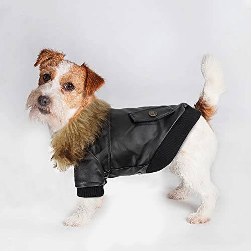 가죽 강아지 재킷 오토바이 Doggy 코트 방수 바람막이 고양이 강아지 따뜻한 겨울 옷 치와와 추운날씨 재킷