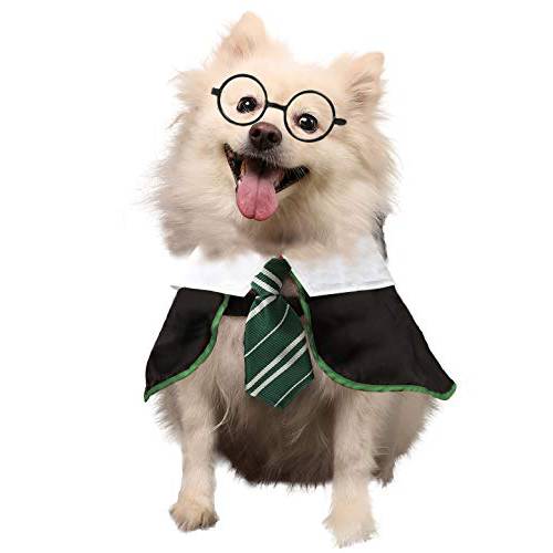 Coomour 강아지 할로윈 할로윈 애완동물 Wizard 셔츠 Funny 고양이 옷 개 고양이 의류 글라스 (미디엄, 그린)