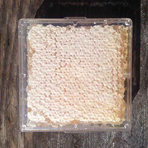 Buzzn Bee Raw Wildflower Honeycomb - (12oz) - 4x4 Square - From Florida’s Beekeepers