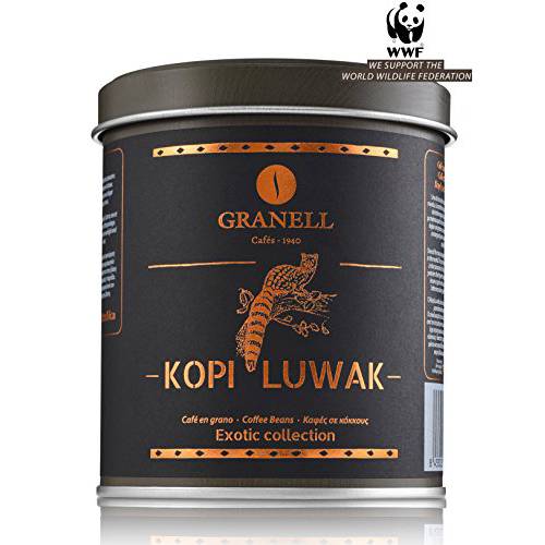 Cafés Granell Wild Kopi Luwak Coffee Whole Beans, 100grams (3.5oz)