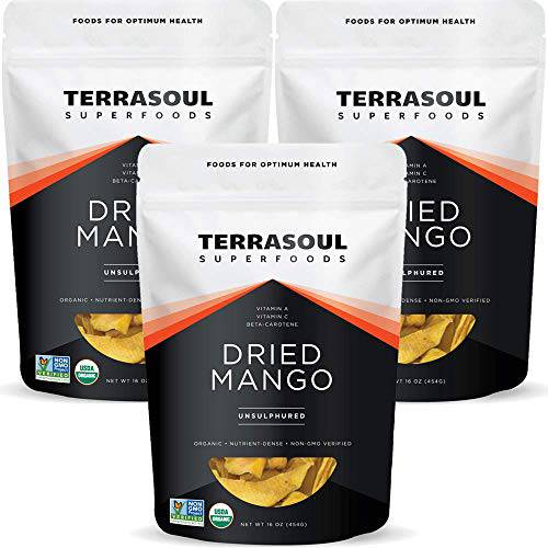 Terrasoul Superfoods Organic Dried Mango Slices, 3 Lbs (3 Pack) - Naturally Sweet & Tart | No-Added Sugar | Healthy Prebiotic
