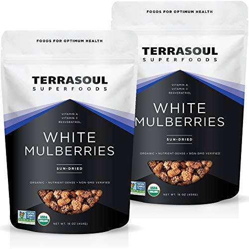 Terrasoul Superfoods Organic Sun-dried White Mulberries, 2 Lbs (2 Pack) - Low Glycemic | Naturally Sweet | Rich in Vitamin C