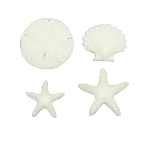 Beachcomber Asst. Sea Shell Sand Dollar Star Fish Decorations Sugar Topper Celebrate Cup Cake Cake Cookie toppers 12 count