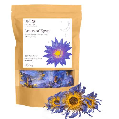 Picobotanica Dried Egyptian Whole Flower (1.06 oz. 30g) – Premium Quality, Non-GMO, Caffeine-Free – Assist in Sleep & Stress