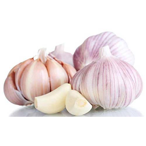 Kejora Fresh Siberian Hardneck Garlic Bulb 5 Count