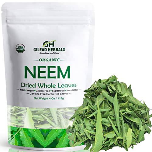 Gilead Herbals Organic Neem Leaves ~ 800 Fresh Dried Whole Leaves Vacuum Packed 4 Oz Pack Green 4 Oz ~ 800 Whole Leaves