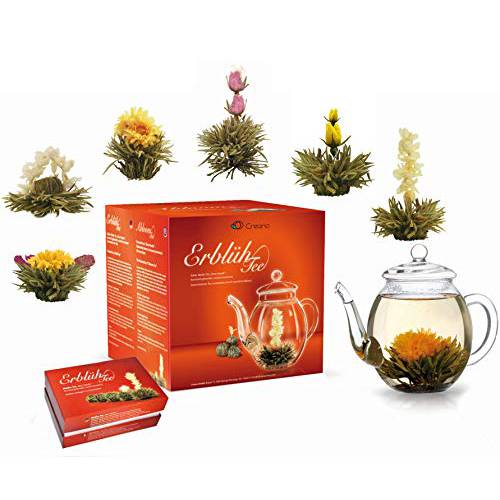 Creano Flowering Tea White Tea – Blooming Tea Gift set with 17oz Glass Tea Pot