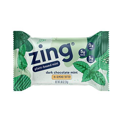 Zing Bars Plant Based Protein Bar Minis | Dark Chocolate Coconut | 100 Calorie | 5g Protein and 2g Fiber | Gluten Free, Non GMO | 18 Count