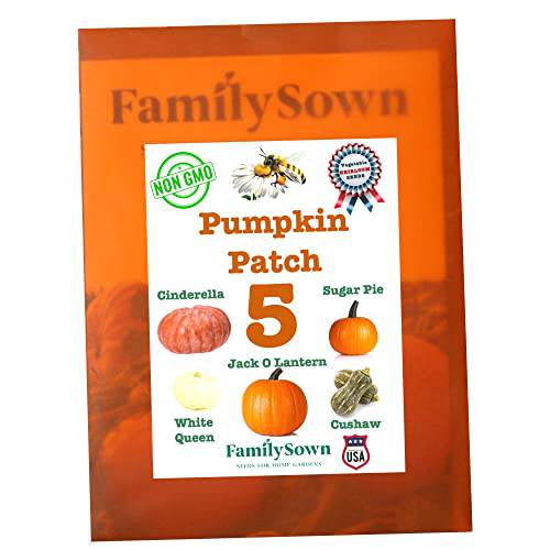 Pumpkin Patch 5 by Family Sown