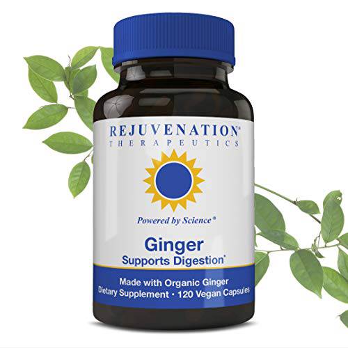 Rejuvenation Therapeutics - Organic Ginger, Digestive Function Support (120 Vegan Capsules, 500mg)