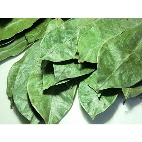 Organic Graviola Leaves/Soursop Leaves(guanabana)1000lves-by Purelife Herbs
