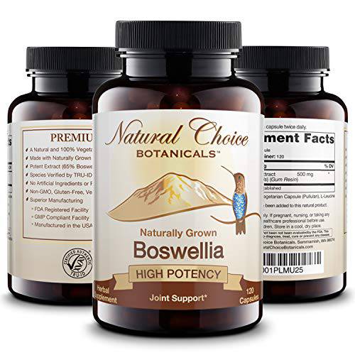 Boswellia Serrata Extract (65% Boswellic Acids) Supplement - 120 Capsules, 2 Month Supply