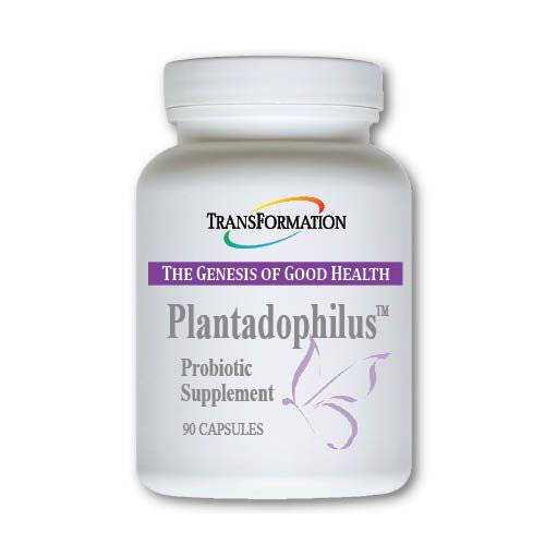 Transformation Enzymes Plantadophilus, 90 Capsules - 1 Practitioner Recommended - Support For Occasional constipation, Diarrhea, or Excess Gas, and Digestive Discomfort,