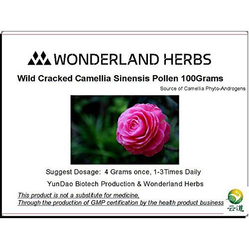 WonderLand Herbs Organic Cracked Cell Wall Wild Harvested Camellia Sinensis Pollen Powder 100 Grams (3.5 oz.) for Beauty