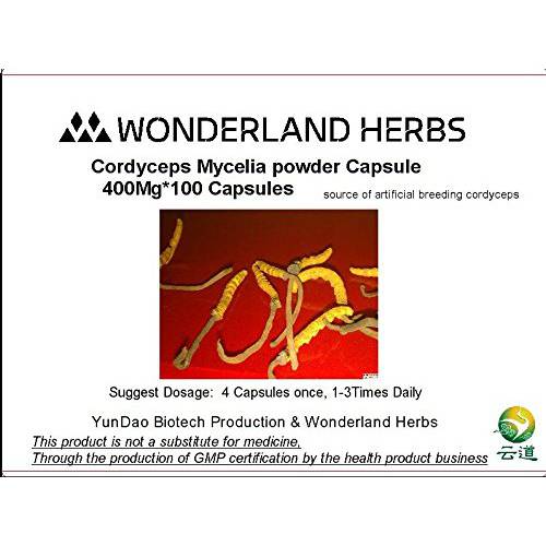 Cordyceps / Worm Grass Cephalosporium Mycelia sinensis Mushroom Powder 400mg x 100 Capules. Adenosine>0.2%