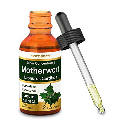 Motherwort Herb Extract Tincture | 2 oz | Low Alcohol Liquid | Vegetarian | Leonurus Cardiaca | Non-GMO, Gluten Free | by Horbaach