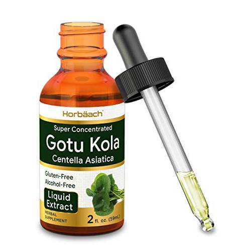 Gotu Kola Extract | 2 fl oz | Alcohol Free | Super Concentrated Liquid Herb Supplement | Vegetarian, Non-GMO, Gluten Free | by Horbaach