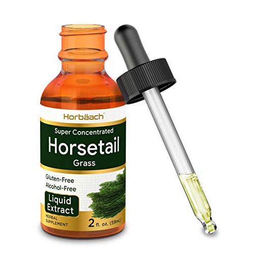 Horsetail Herb Liquid Extract | Alcohol Free | 2 fl oz | Vegetarian, Non-GMO, & Gluten Free Supplement | by Horbaach
