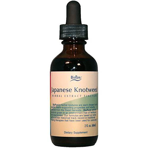 Japanese Knotweed 2 fl oz (Herbal Tincture)