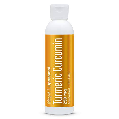 2by4 Turmeric Curcumin Supplement 250 mg, High Absorption Liposomal Anti Inflammatory Liquid Vitamin for Inflammation Relief and Joint Support, Non-GMO, 30 Servings, 6 fl oz