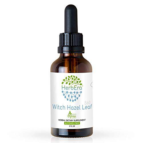 Witch Hazel Leaf B60 Alcohol-Free Herbal Extract Tincture, Concentrated Liquid Drops Natural Witch Hazel Leaf (Hamamelis virginiana) Dried Leaf (2 fl oz)