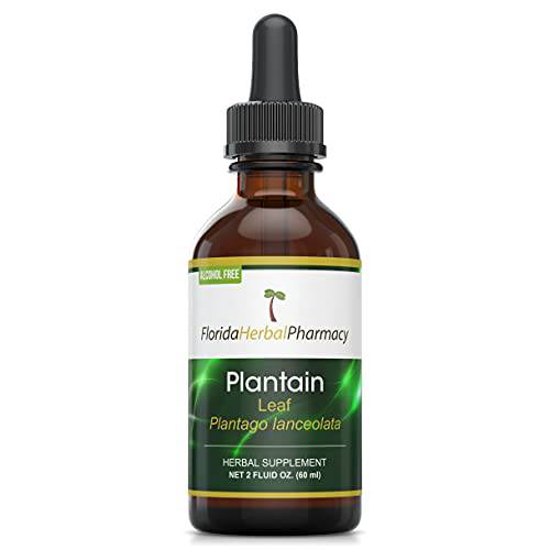 Florida Herbal Pharmacy, Alcohol - Free Plantain (Plantago lanceolata) Tincture / Extract 2 oz.