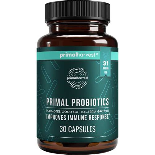 Primal Harvest PREbiotics and PRObiotics for Women & Men, Primal Probiotics 30 Oral Probiotics Capsules for Gut Health, 12 Dynamic Strains Probiotics for Women Digestive Health & Anti Inflammatory