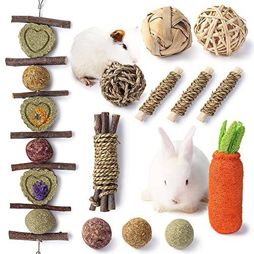 JanYoo 12 PCS Rabbit Toys Guinea Pig Chew Toys Bunny Chew Treats and Balls for Small Animal Teeth Care